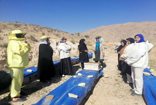 توانمندسازی اقتصادی زنان روستایی با تمرکز بر محصولات زنبور عسل در فارس