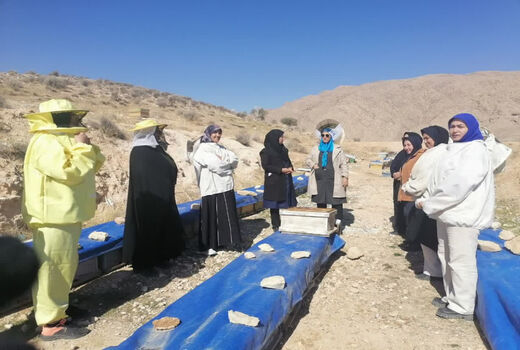 توانمندسازی اقتصادی زنان روستایی با تمرکز بر محصولات زنبور عسل در فارس