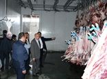 تمهیدات سازمان جهاد کشاورزی استان برای تامین دام در ایام عید قربان