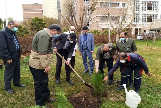 غرس نهال به یاد شهدای مدافع سلامت استان سمنان