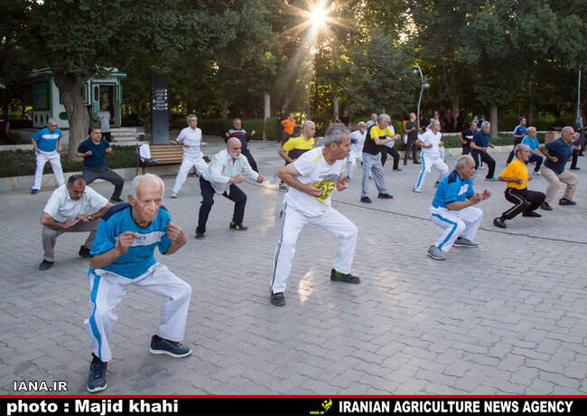 نرمش صبحگاهی