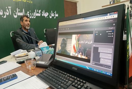 ایجاد ۱۰۶ مزرعه الگویی برای محصولات استراتژیک در آذربایجان شرقی