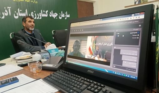 ایجاد ۱۰۶ مزرعه الگویی برای محصولات استراتژیک در آذربایجان شرقی