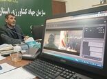 ایجاد ۱۰۶ مزرعه الگویی برای محصولات استراتژیک در آذربایجان شرقی