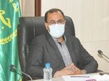  کشت گلخانه ای  اولویت‌ وزارت جهاد کشاورزی