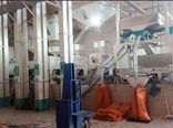  کارخانجات شالیکوبی بهسازی می‌شوند