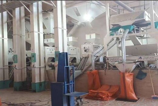  کارخانجات شالیکوبی بهسازی می‌شوند
