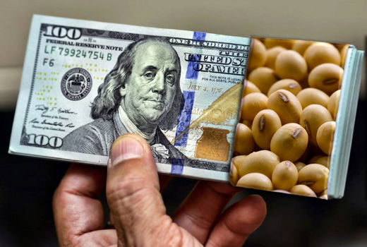 حمایت بانک مرکزی از بخش کشاورزی/ مشکلی در تامین ارز واردات نهاده‌ها وجود ندارد