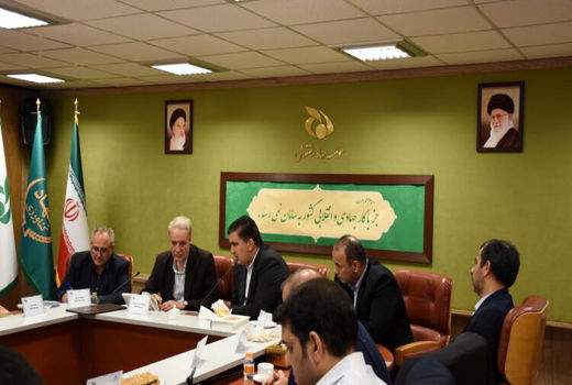 سیستان و بلوچستان گزینه‌ای ایده‌آل برای تأمین گوشت کشور است