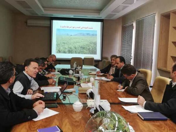 ضرورت اعلام سریع رخدادهای طبیعی در مرحله داشت غلات توسط اداره کل هواشناسی 