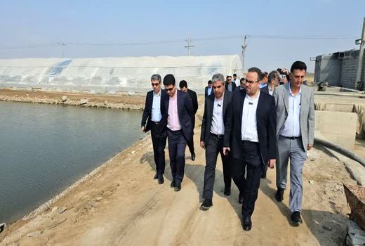 رشد ۲۳ درصدی تولید آبزیان در کشور