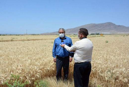 برگزاری کارگاه اطفاء حریق در عرصه های منابع طبیعی و کشاورزی در شهرستان مرند