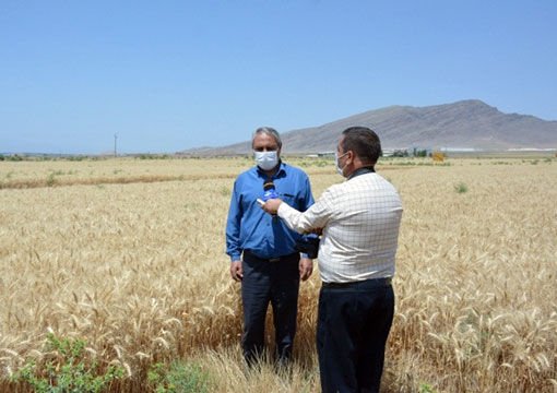 برگزاری کارگاه اطفاء حریق در عرصه های منابع طبیعی و کشاورزی در شهرستان مرند