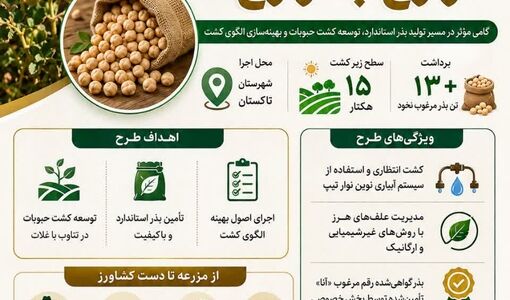  برداشت بیش از ۱۳ تن بذر نخود در نخستین اجرای طرح «زارع به زارع» قزوین