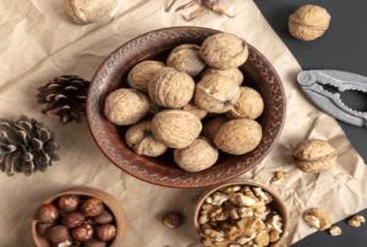 آغاز برداشت گردو در باغات سوادکوه/ تولید 1500 تنی