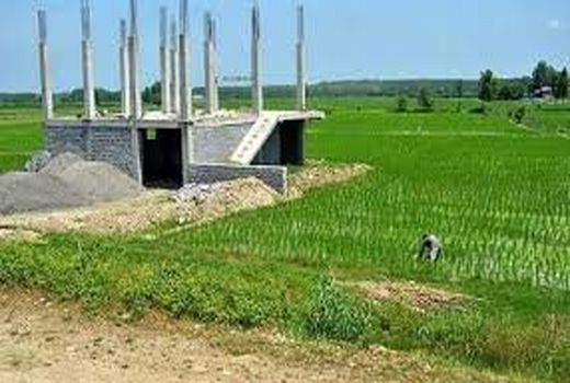 تغییر کاربری غیر اصولی اراضی، تهدیدی جدی برای کشاورزی