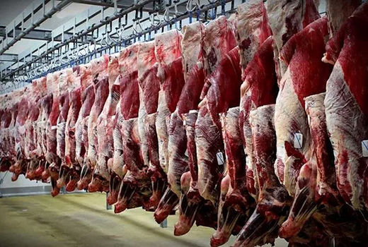 تسهیل‌گری در عرضه گوشت قرمز وارداتی توسط شرکت‌های بخش خصوصی

