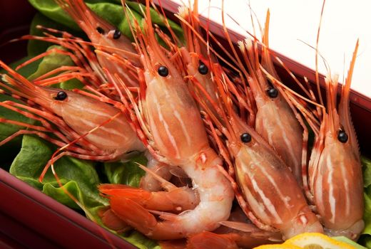 اعتماد جامعه جهانی به محصولات آبزی‌پروری ایران