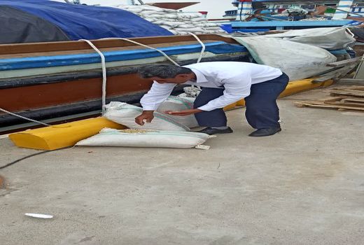 نظارت بر محموله کاه حبوبات به مقصد کویت