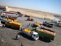 افزایش 25 درصدی صادرات محصولات کشاورزی در 4 ماهه امسال