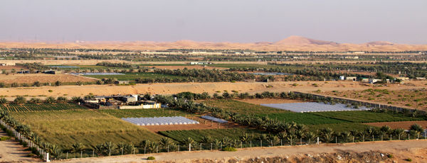 کاهش سطح زیر کشت؛ زنگ خطر امنیت غذایی