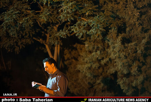 شب قدر؛پارک جنگلی کوهسار