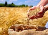 ادامه روند فعلی تخصیص ارز، امنیت غذایی کشور را تهدید میکند