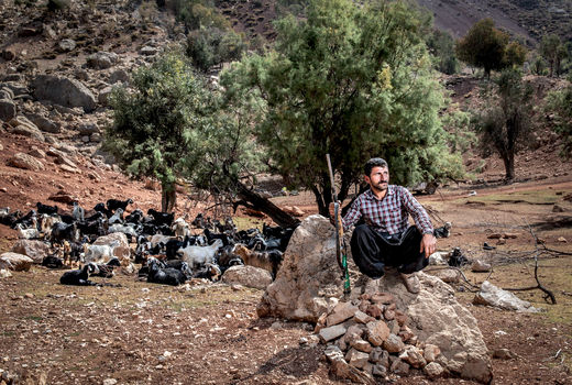 زندگی در ایل بختیاری 