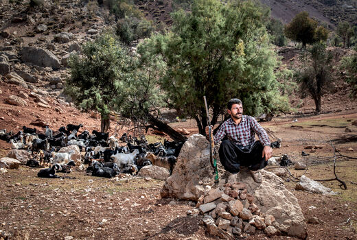 زندگی در ایل بختیاری 