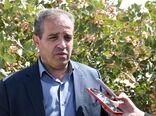 تزریق ۱۶ میلیارد تومان اعتبار به بخش کشاورزی اسکو در سال ۱۴۰۴