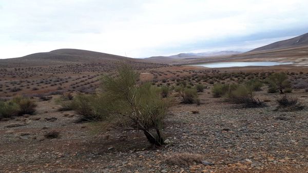 افزایش سرانه فضای سبز در چهارمحال و بختیاری