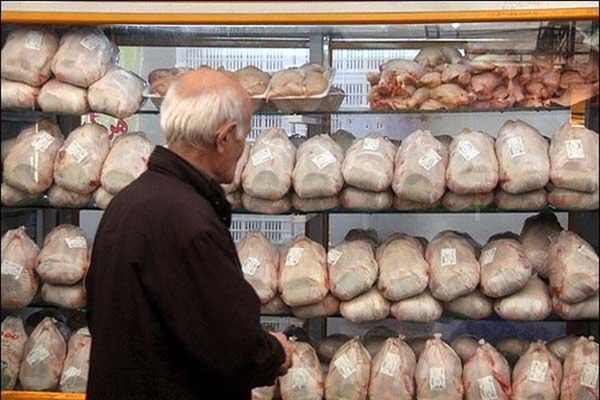 توزیع اینترنتی تخممرغ در قزوین آغاز شد