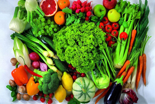 اصلاح الگوی کشت 2167 هکتار اراضی استان کرمان