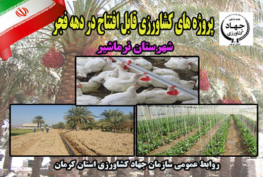 8 طرح کشاورزی شهرستان نرماشیر در ایام الله دهه فجر 