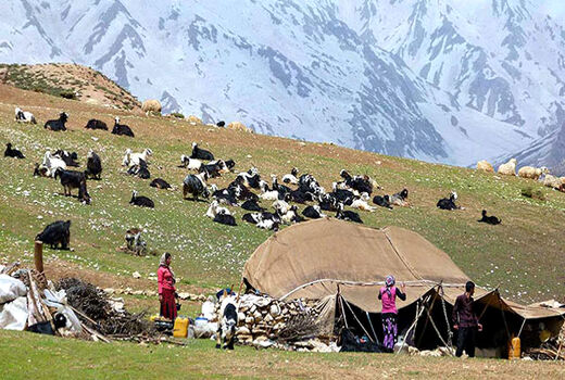 کاهش ورود عشایر به مراتع نیشابور 