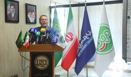بیش از ۹۵ درصد گوشت قرمز کشور در داخل تامین می‌شود/ کاهش ۴۰ درصدی واردات گوشت در سال ۱۴۰۴