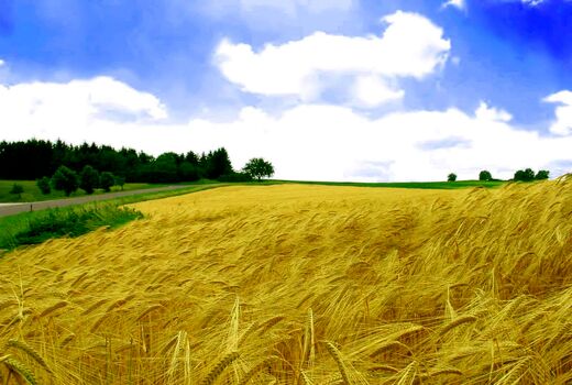 تجربه جنگ ١٢ روزه و ظرفیت‌های کشاورزی ایران برای عبور بحران 