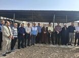 از واکسیناسیون دام و طیور تا تجلیل از دامدار نمونه