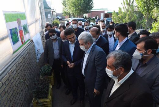 معاون رییس جمهور از یک شرکت دانش بنیان فعال تولید بذر و نهال در شهرستان آبیک بازدید کرد