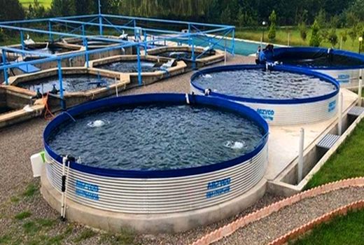 کاهش مصرف آب با استفاده از گسترش استخرهای کوچک‌مقیاس پرورش آبزیان