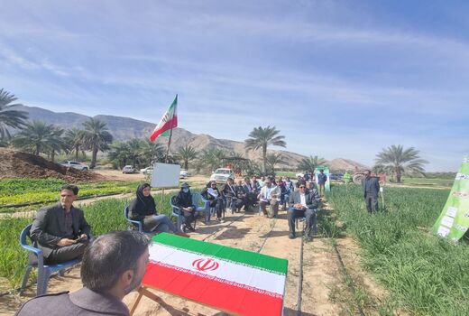 سومین روز از کاروان ترویج الگوی کشت ملی محصولات زراعی در خنج برگزار شد