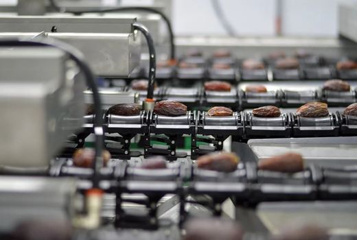 خرما فرصت طلایی برای توسعه صنایع غذایی و صادرات است