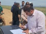قلع‌وقمع مزارع گوجه‌فرنگی خارج از الگوی کشت در ضیاءآباد تاکستان 