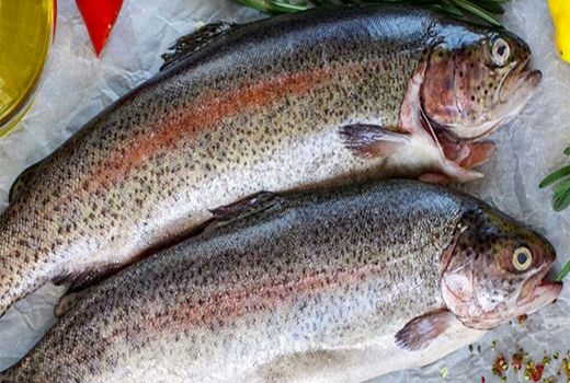 صادرات 4 هزار تن ماهی مازاد از مرز مهران به عراق