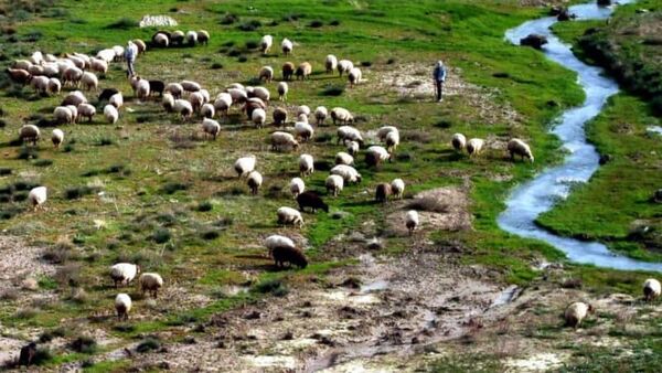  ثبت‌نام عشایر آذربایجان‌غربی در سامانه سماک