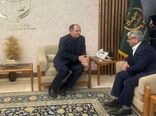 جهادکشاورزی در شرایط جنگ‌ بازار را مدیریت کرد/ لزوم توسعه دیپلماسی کشاورزی در منطقه