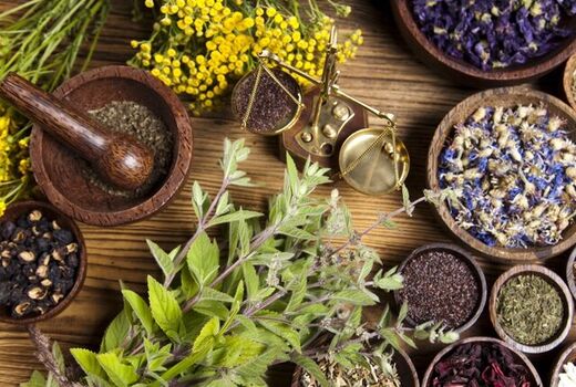 آغاز کشت گیاهان دارویی پاییزه در خرمشهر