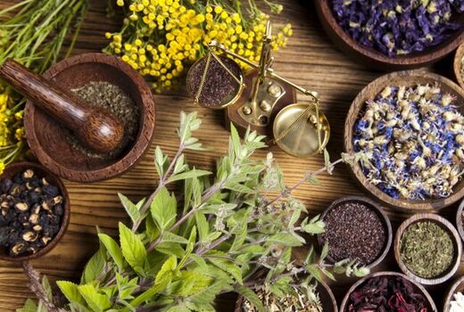 آغاز کشت گیاهان دارویی پاییزه در خرمشهر