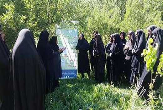 صدور ۳ گواهی نشان حد مجاز آلاینده های محصولات کشاورزی 