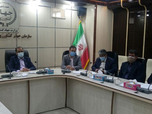 سلامت بیشتر تولیدات استان با استفاده کمتر از سموم در کشور